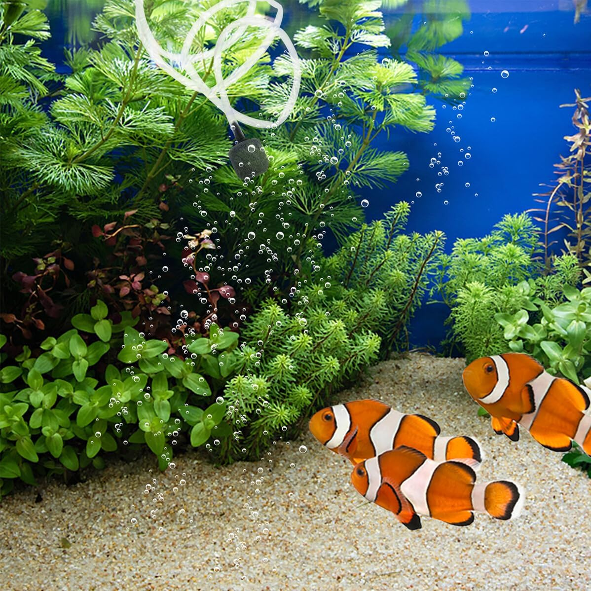 USB Charging Small Aquarium Oxygen Pump Low Power Consumption Fish Tank Air Aerator Portable for Different Sized Tanks and Fish High-Grade Material for Safe Use image number 2