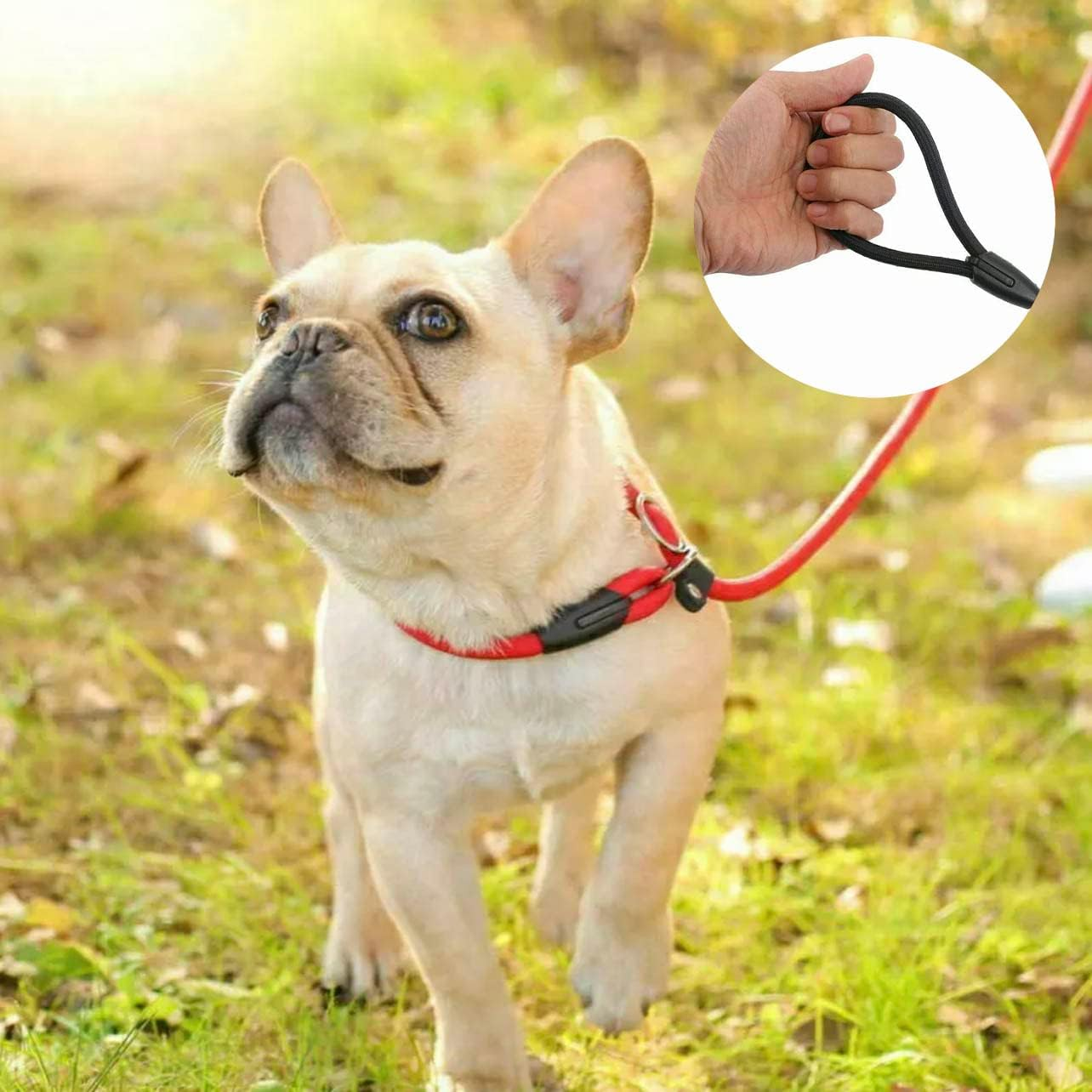 AIMALL Dog Training Correction Leash Lead Cesar Puppy Pets Millan Slip Nylon Rope - Durable Slip Rope Lead for Puppy and Pet Behavior Correction image number 5