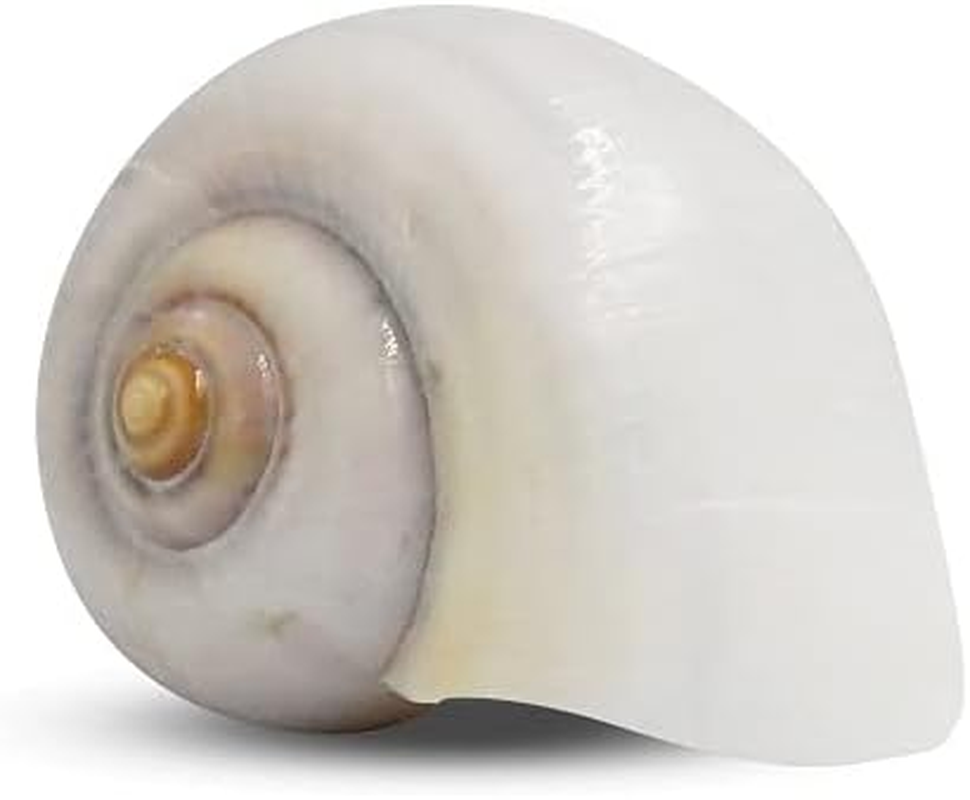 Undercover Medium Spare Shell