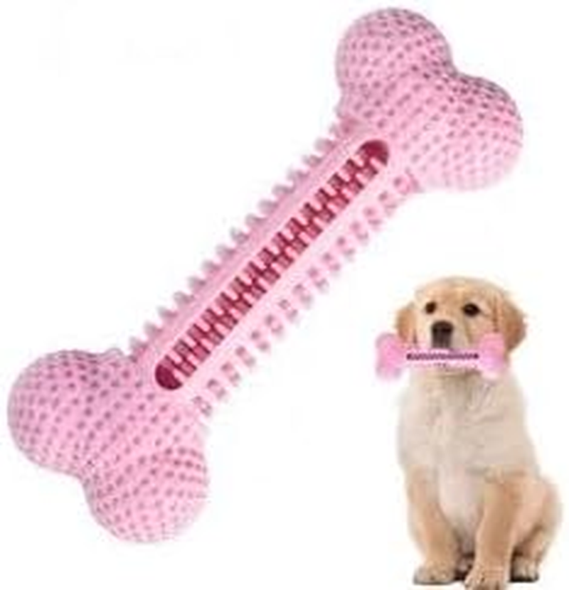 Patchy'S Pets Puppy and Dog Toothbrush Dental Chew Toy Bone, Teeth Cleaning, Teething, Soft Flexible Durable Rubber Dog Toys, Small Treat Holder, Puppy and Small Breeds, Non Toxic (Green)