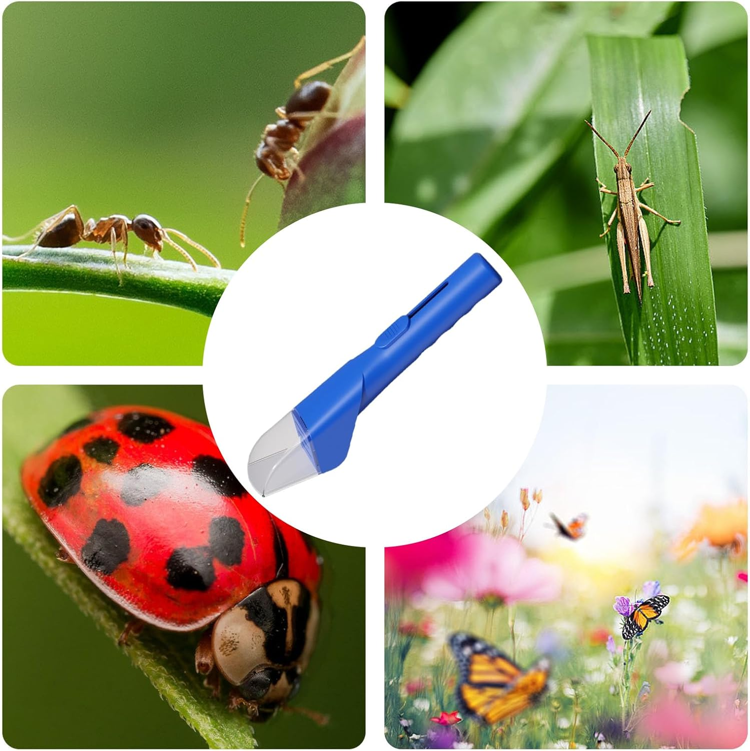 Spider Catcher Tool, Bee Grabber Picker, Remover Wand, Gentle Design Easy Green Handheld Tool for Home Garden Travel Exhibition, 10.83 X 1.97 X 1.97 Inches