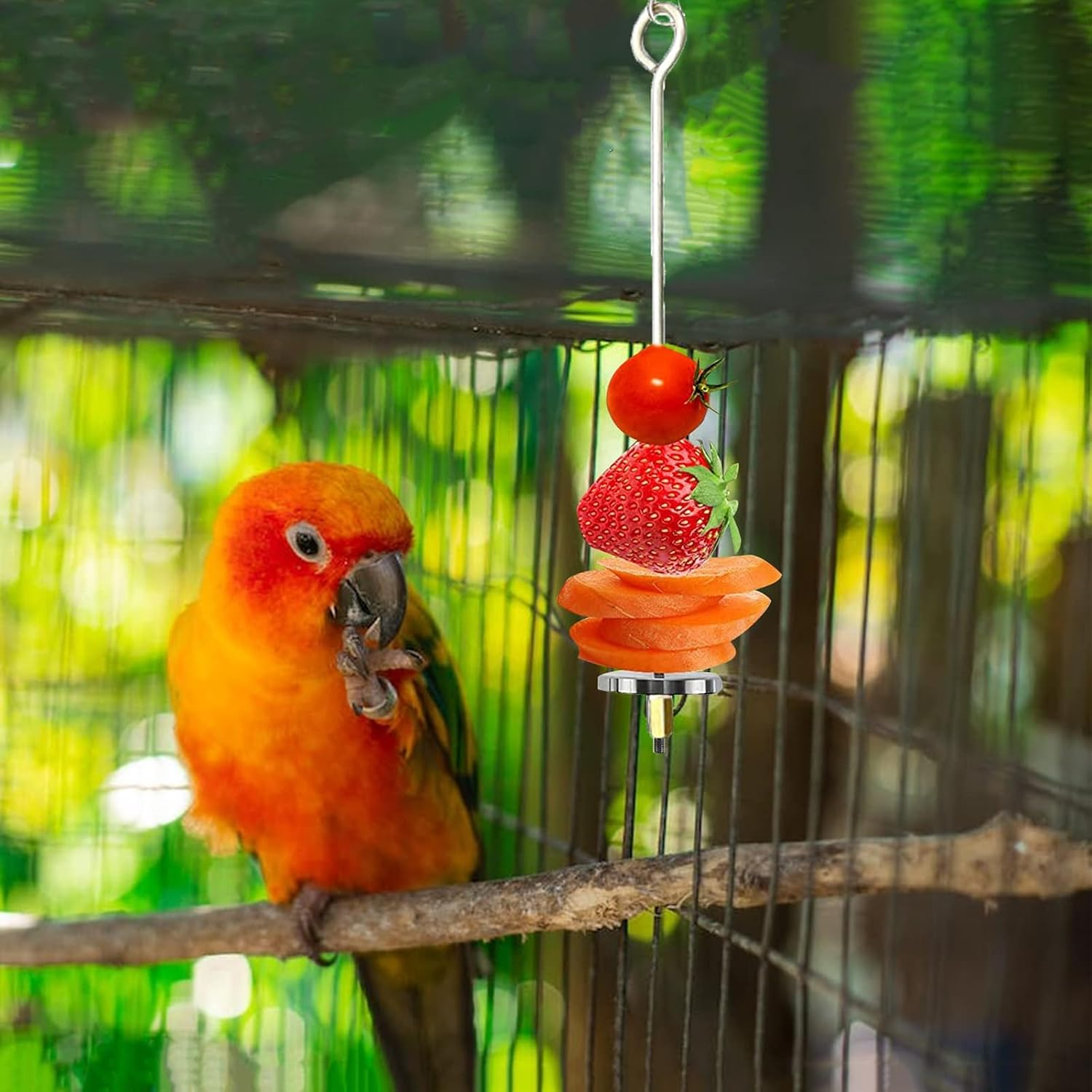 Shanbye Parrot Skewer Feeder,2 PCS Stainless Steel Bird Fruit Skewer Feeder Parrot Treats Holder Foraging Toy & Bird Cage Accessories for Budgie Parakeet Cockatiel Large Birds Toys and Feeders image number 1