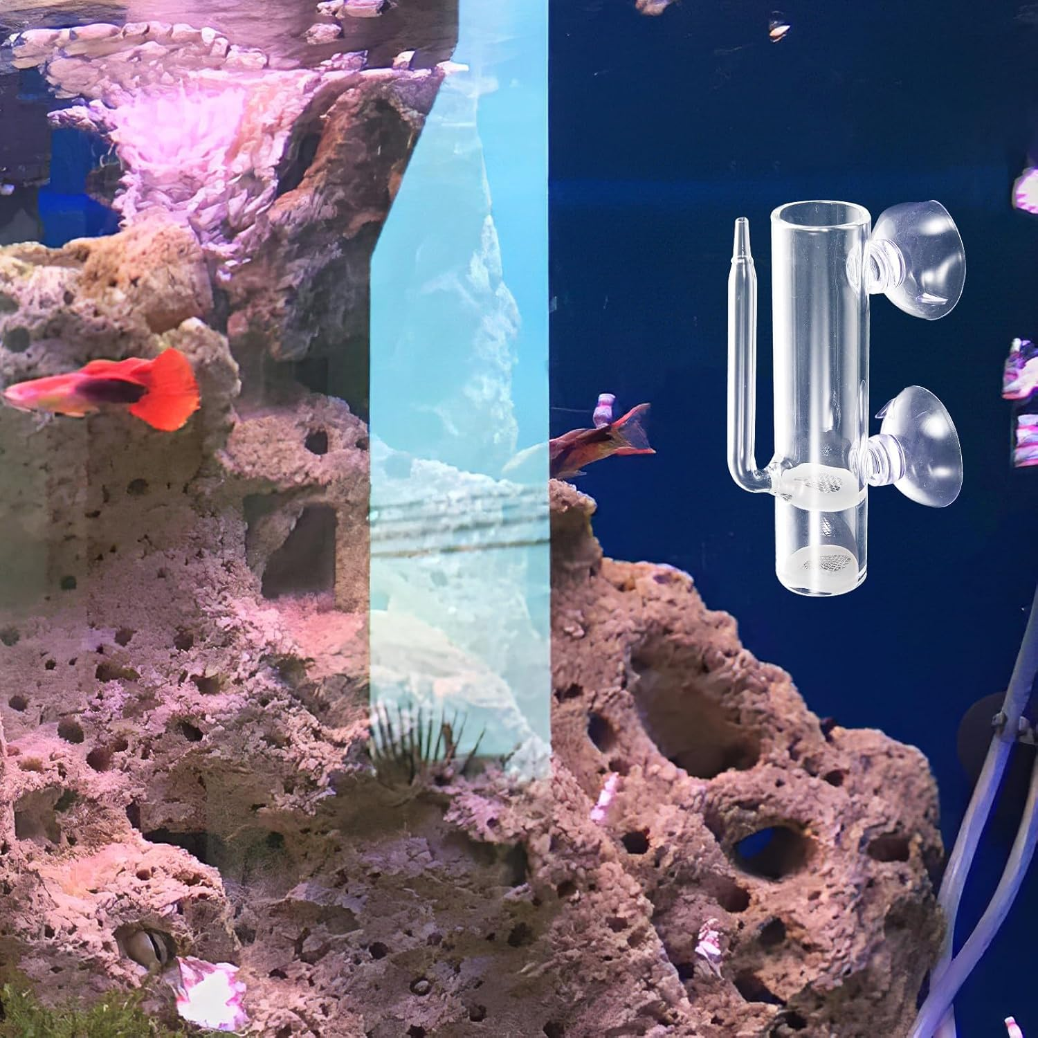 VALICLUD Glass Shrimp Egg Hatchery Aquarium Incubator with Filtration Brine Shrimp Breeding Tube Fish Tank Isolation Box for Aquatic Pet Breeding image number 2