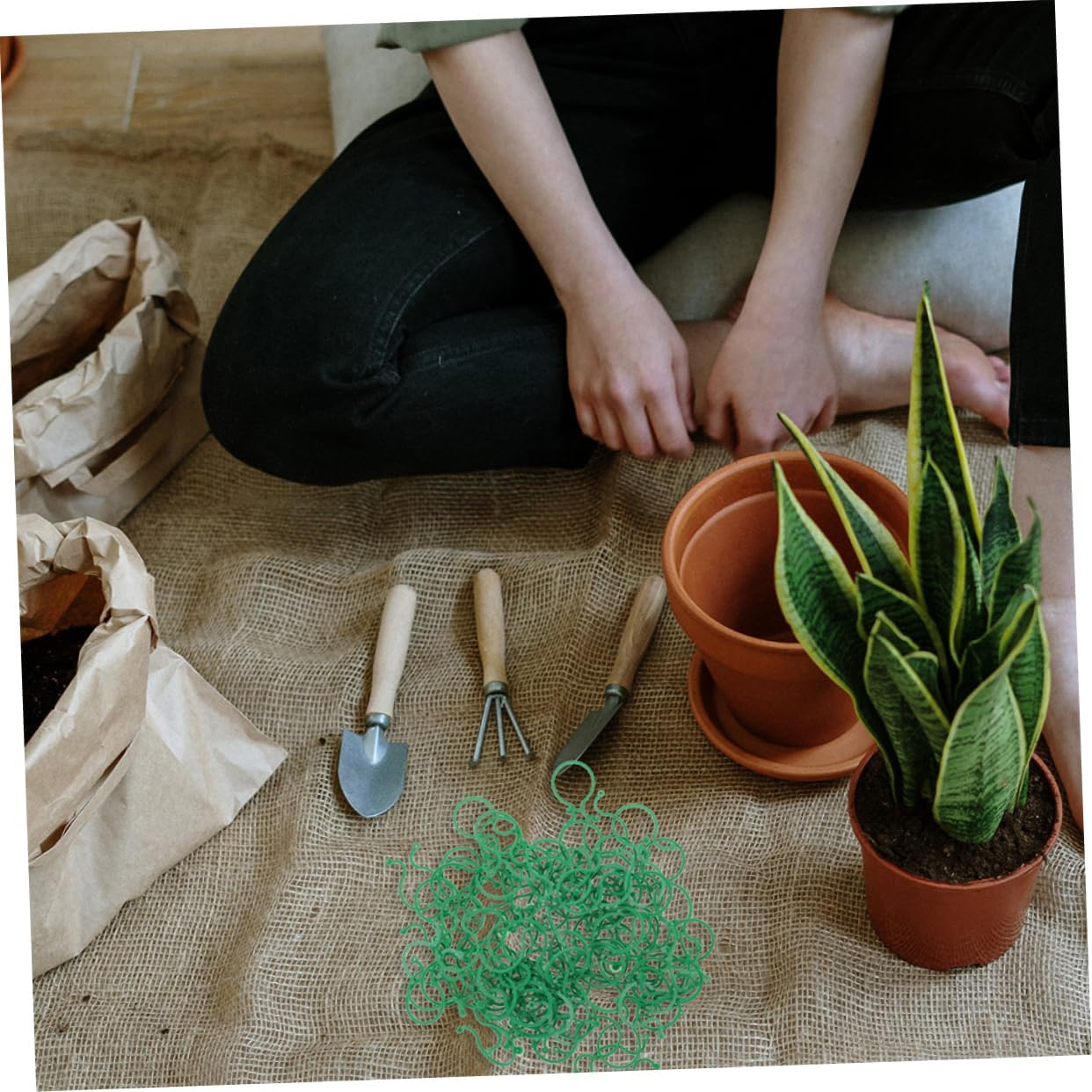 Yardwe 100Pcs Plant Stem Holders for Flowerpot Bonsai Garden Plant Supply Flower Stems Fixed Rack for Supporting in Outdoor Gardening