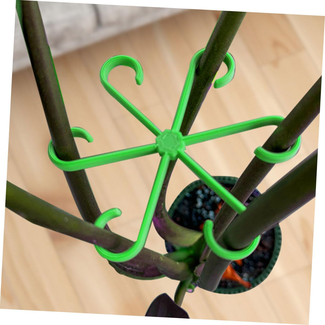 BESPORTBLE 16Pcs Flower Stems Fixed Holders for Bonsai and Plant Supports for Flowerpot Stems Holder Plant image number 5