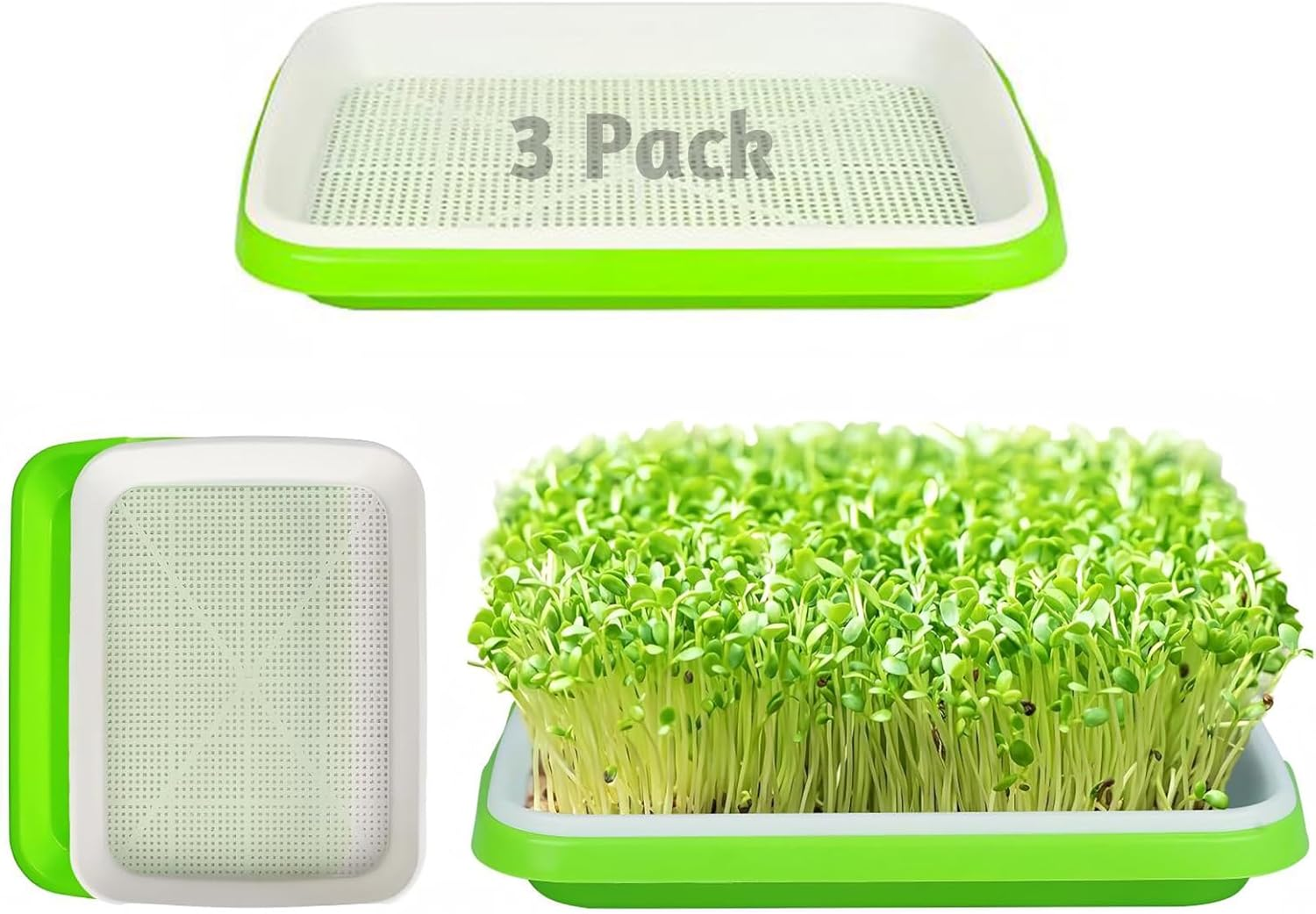 Seed Sprouting Tray, 10PCS Microgreens Growing Trays Big Capacity Sprouts Growing Kit Soil-Free Sprouter Tray for Sprouting Seeds, Beans, Wheatgrass (Without Lids, Green) image number 5