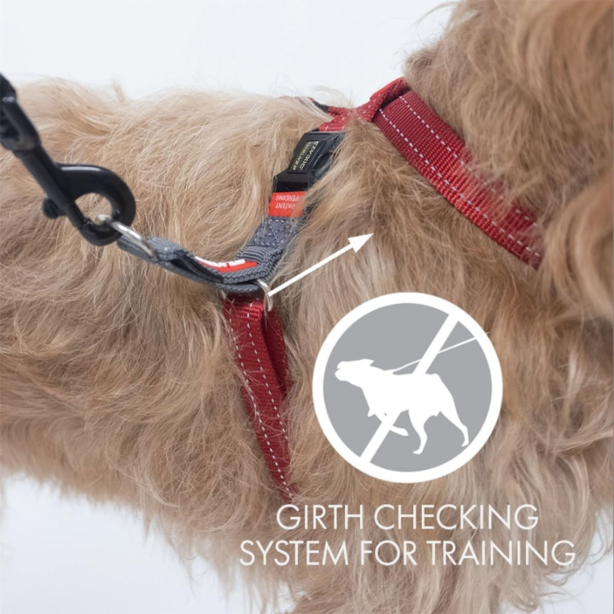 Ezydog Crosscheck Harness - Dog Training Harness - No Pull Harnesses for Dogs - Escape Proof, Reflective, Comfortable, Easy to Fit (L, Red) image number 4