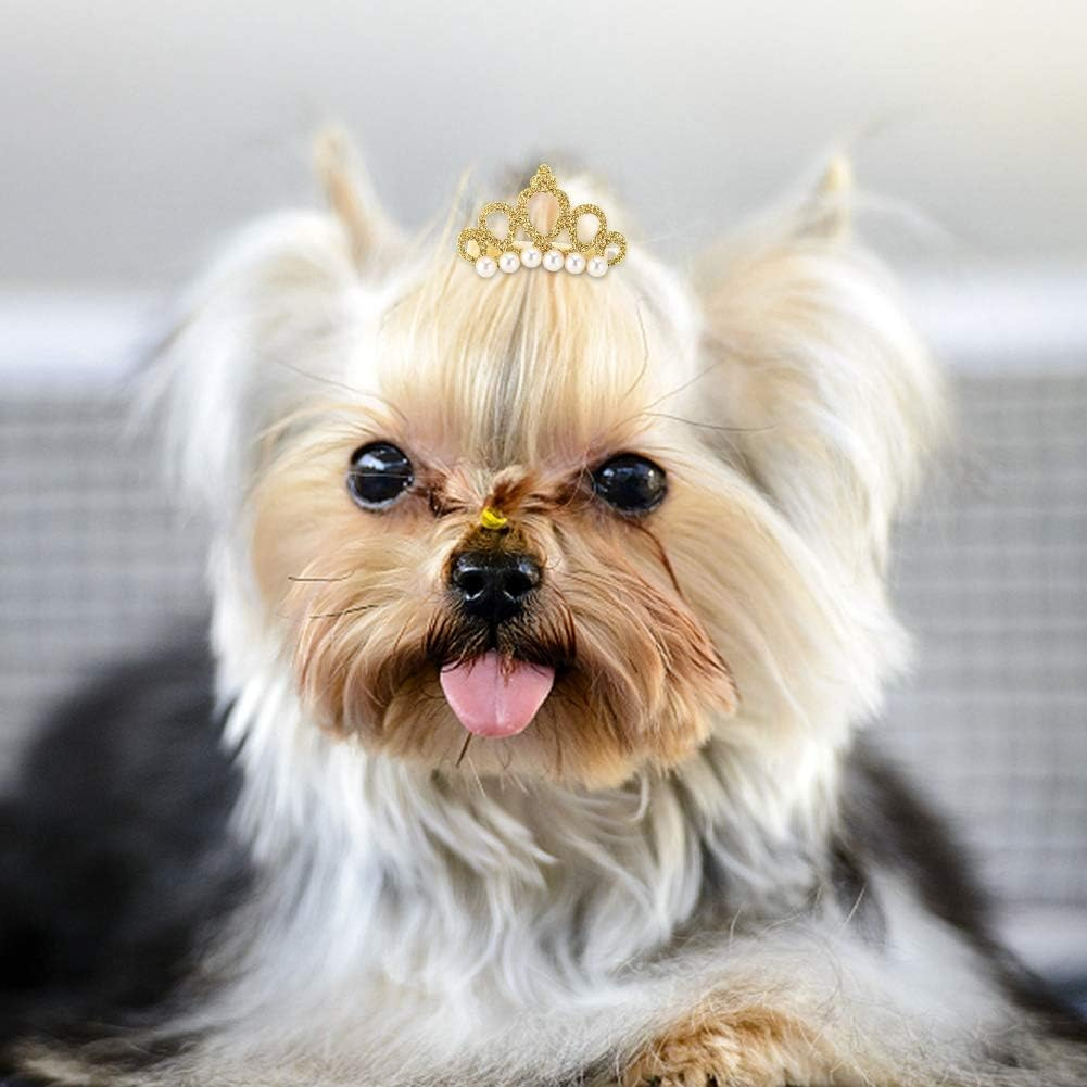EVTSCAN 25Pcs Pet Crown Hair Clip Hairpin Grooming Accessories for Cat Medium Small Dog