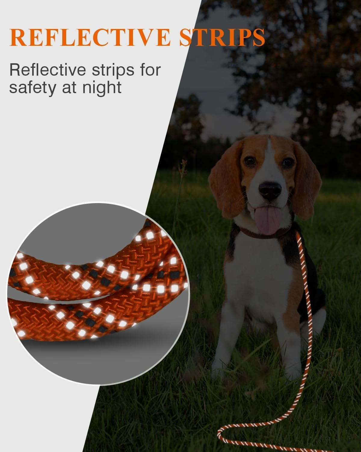 30FT Dog Leash with Training Clicker &ndash; Recall Dog Lead for Training, Walking, Camping &ndash; Durable Nylon with Padded Handle, Reflective Stitching, for Small, Medium & Large Dogs (Orange, 30FT) image number 1