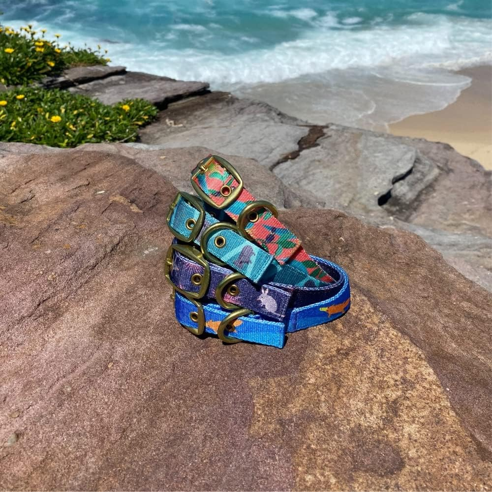 Anipal Clancy the Black Cockatoo Dog Collar - L - from Recycled Plastic Bottles