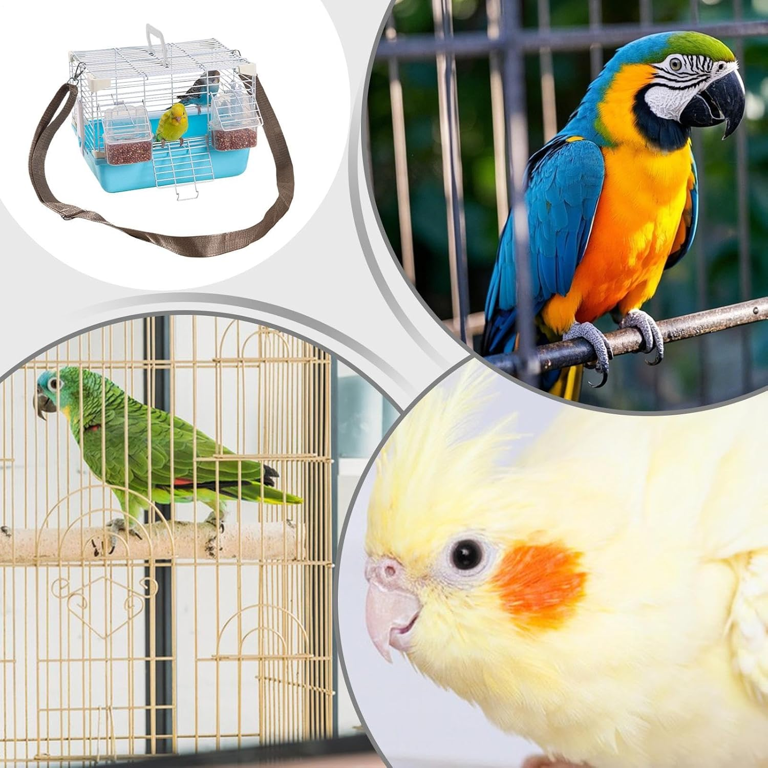 YNPQTDS Bird Travel Cage 27X20X20Cm Bird Travel Carrier with Removable Tray ABS Portable Birds Cage with Handle for Green Cheeks Cockatiels Parrots image number 6