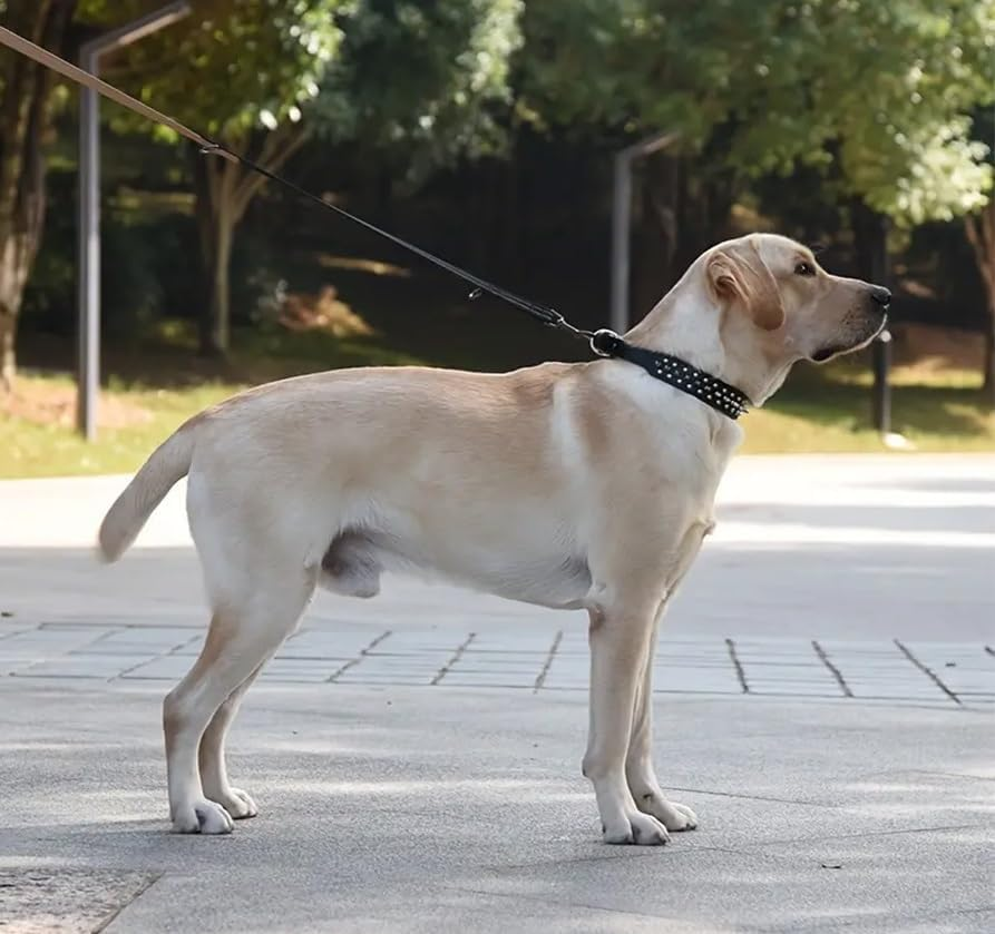 Upgraded Version Spiked Studded Leather Dog Collar with Leash, Rivet PU Leather Dog Collars for Pit Bull, Durable Leather Cat Collar Spiked Studded for Small Medium Large Pet (Black, M) image number 6