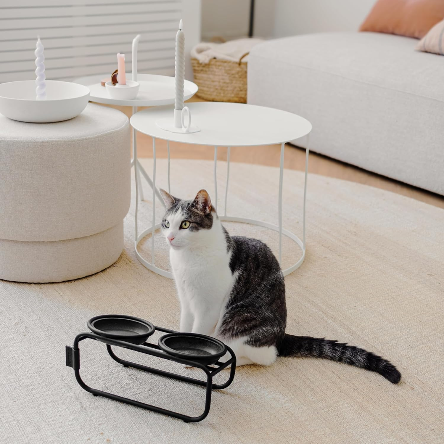 District 70 - Butler Cat Bowl Stand image number 4