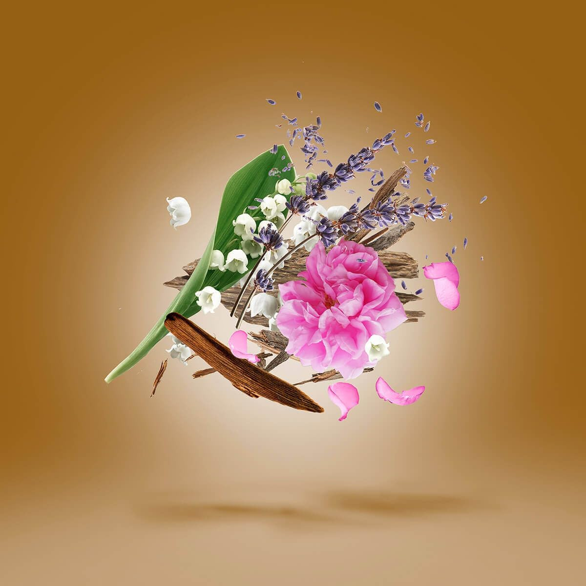 Xerjoff Alexandria II image number 3