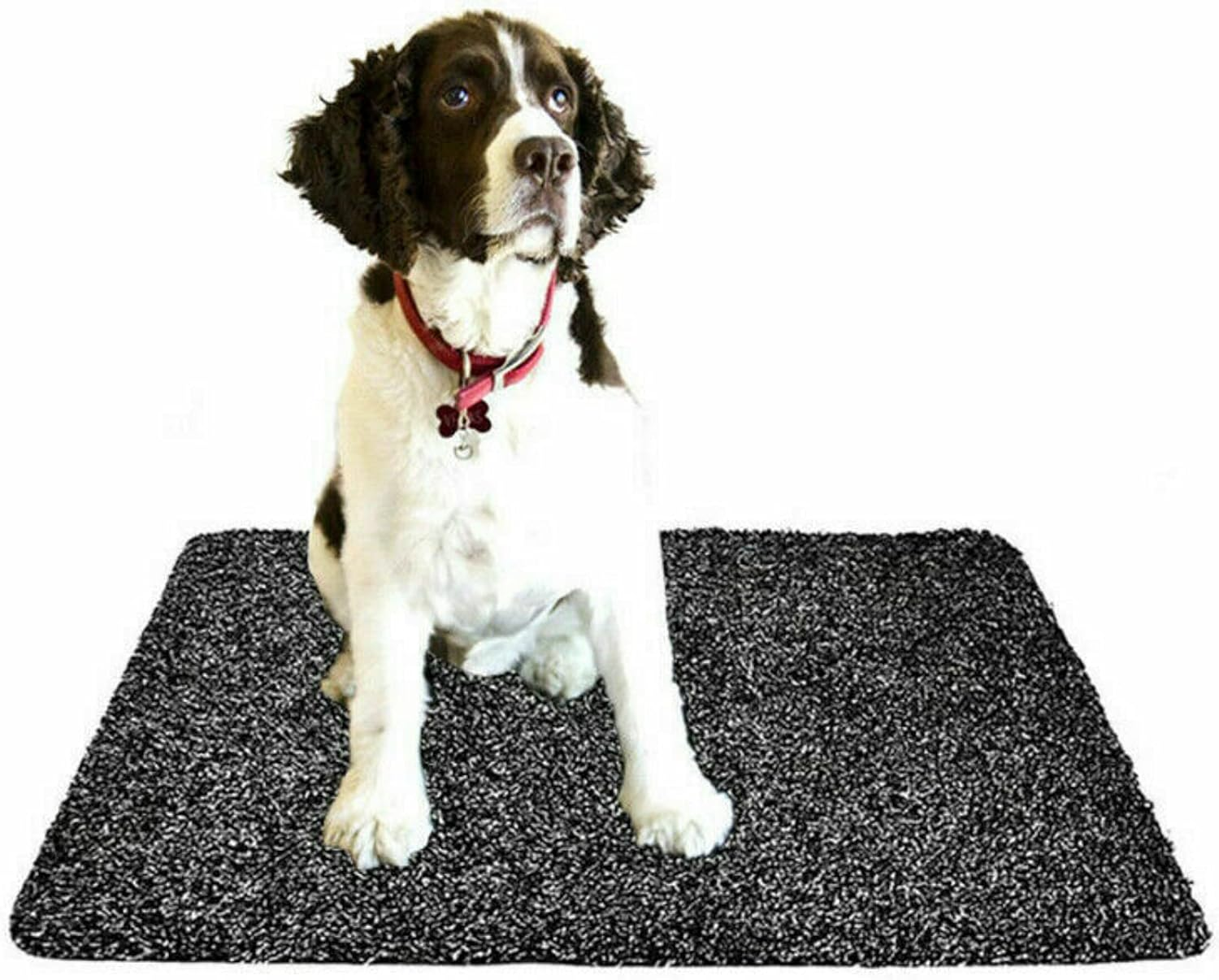 Living Today Super Clean Microfiber Non Slip Step Doormat