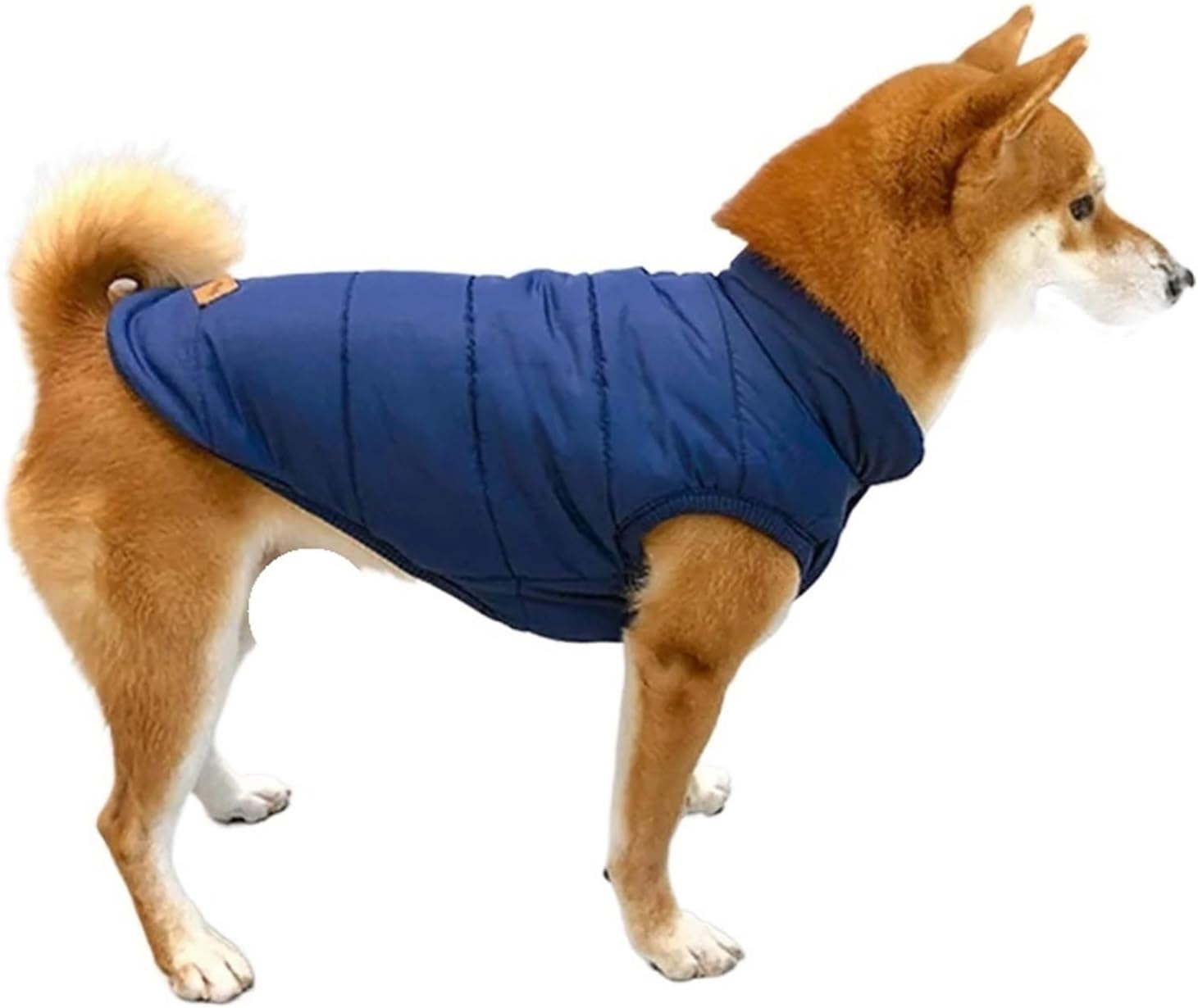 Dog Clothes Bulldog Coat Jacket Corgi Dog Clothing Inu Costume Pet Outfit Pomeranian Schnauzer Pet Apparel Warm (Color : Blue, Size : M)