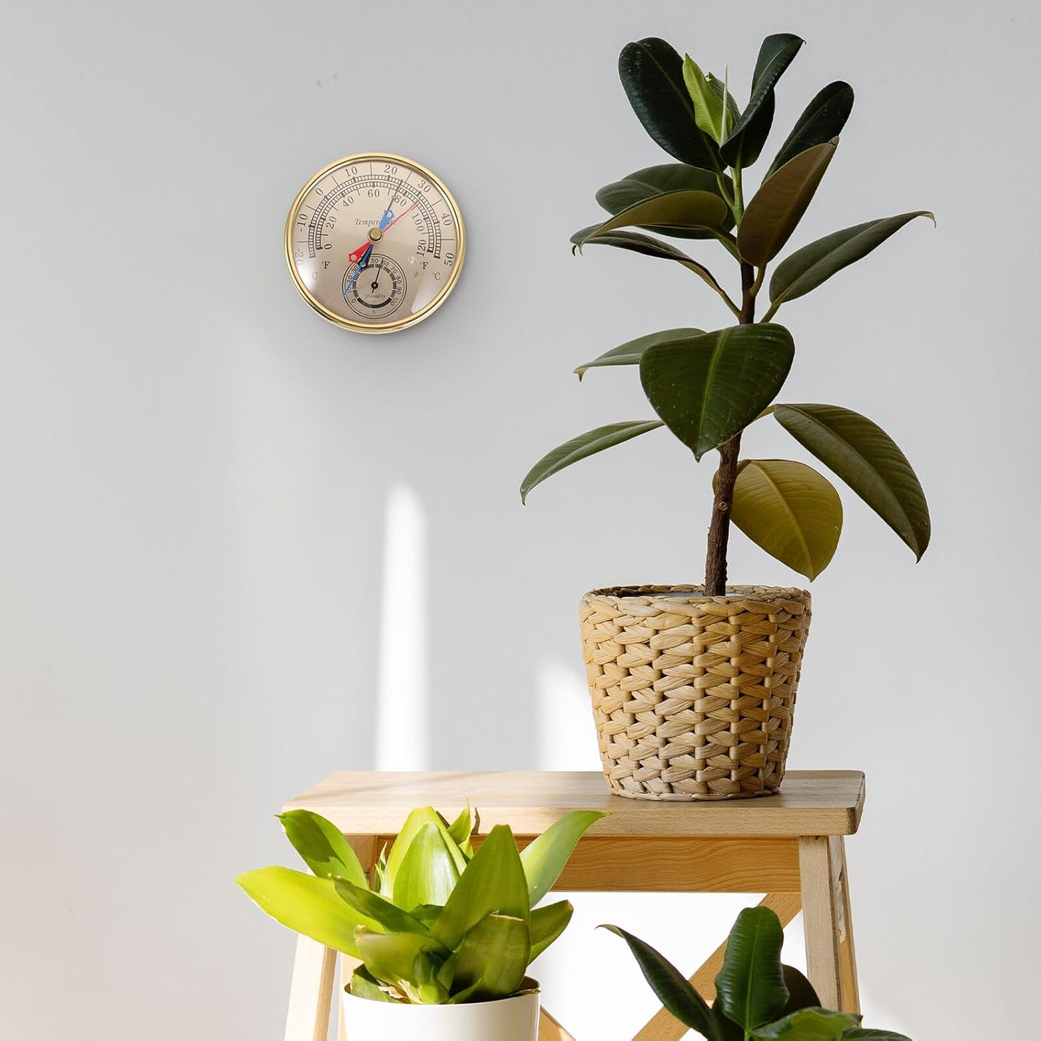 Maximum Minimum Thermometer Hygrometer for Indoor Outdoor Use Wall-Mount Digital Gauge for Garden Greenhouses and Home Display with Glass and Plastic Design image number 4