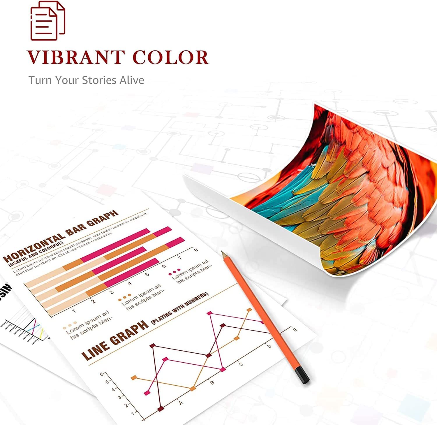 212 212XL Ink Cartridge Compatible with Epson XP-3100 XP-3105 XP-2100 XP-4100 WF-2850 2830 (1BK1C1M1Y) image number 2