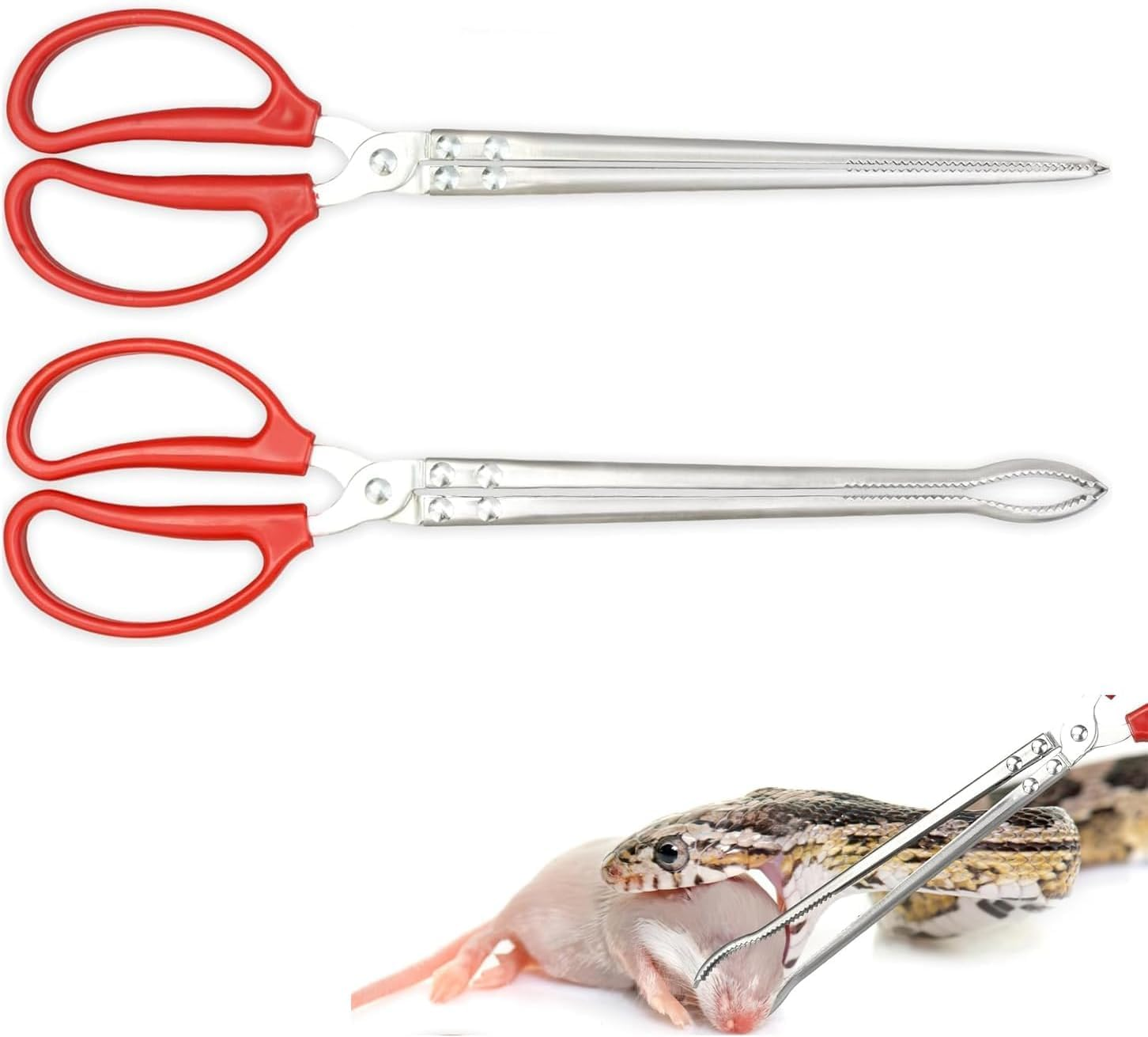 Anti-Skid Snake Feeding Tong Reptile Feeding Tong, 2Pcs Anti-Skid Stainless Steel Reptile Feeding Tong,Anti-Skid Stainless Steel Snake Feeding Tong,Anti-Skid Stainless Steel Snake Reptile Feeding Tong image number 3