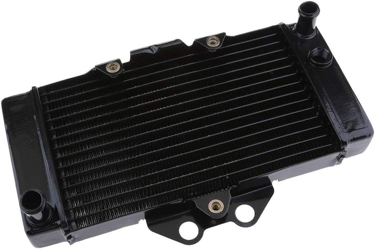 OEM Motorcycle Cooling Cooler Radiator Fit for VTR250 2005 2006 2007 image number 1