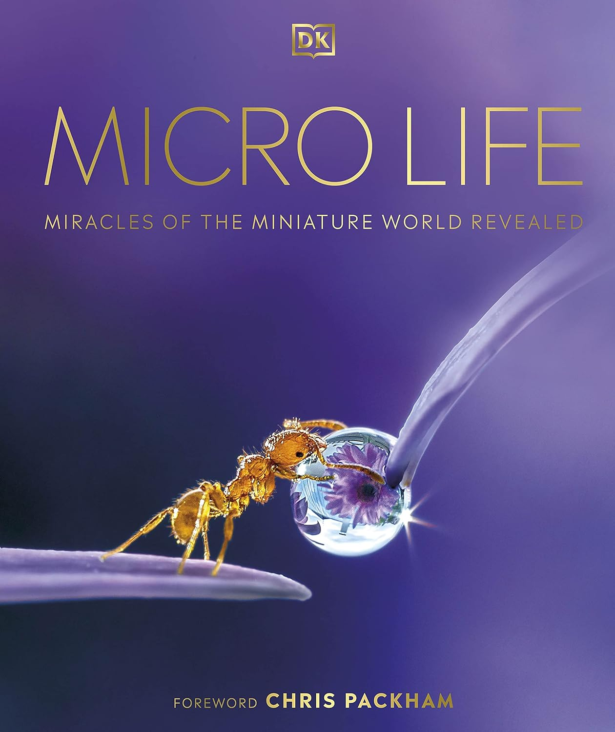 Micro Life: Miracles of the Miniature World Revealed image number 6