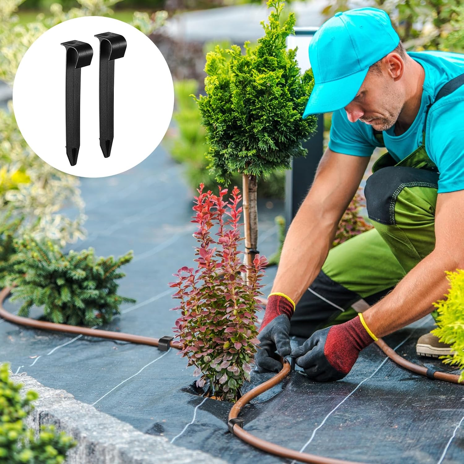 Pangda 100 Pack 1/2 Inch Irrigation Tubing Hold down Anchor Stakes, 3/4 X 4.33 Inch Drip Tubing, Anchor for Sprinkler Garden Landscaping image number 3