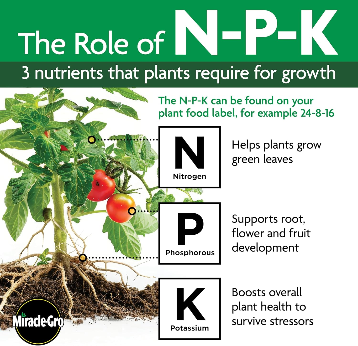 Miracle-Gro Indoor Plant Food Spikes, Includes 24 Spikes - Continuous Feeding for All Flowering and Foliage Houseplants - NPK 6-12-6 image number 6