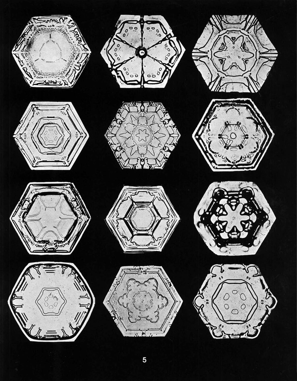 Snowflakes in Photographs image number 1