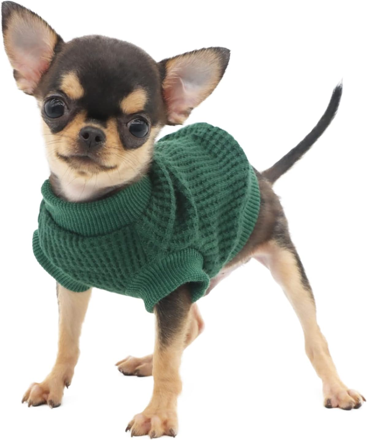 LOPHIPETS Lightweight Dog Sweaters for Puppy Small Dogs Puppy Chihuahua Yorkie Clothes-Atrovirens/Xxs image number 3