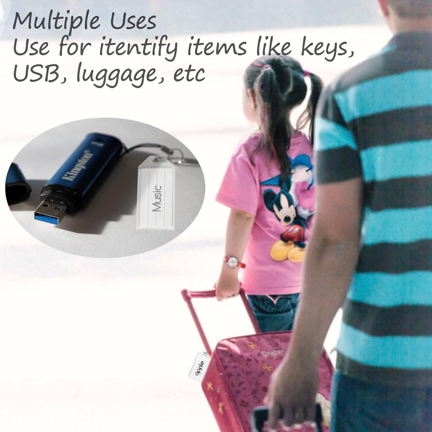 10 PCS Plastic Key Fobs with Labels and Key Rings, Semi Transparent, USB, ID Tags, Luggage Name Tags - Translucent image number 3