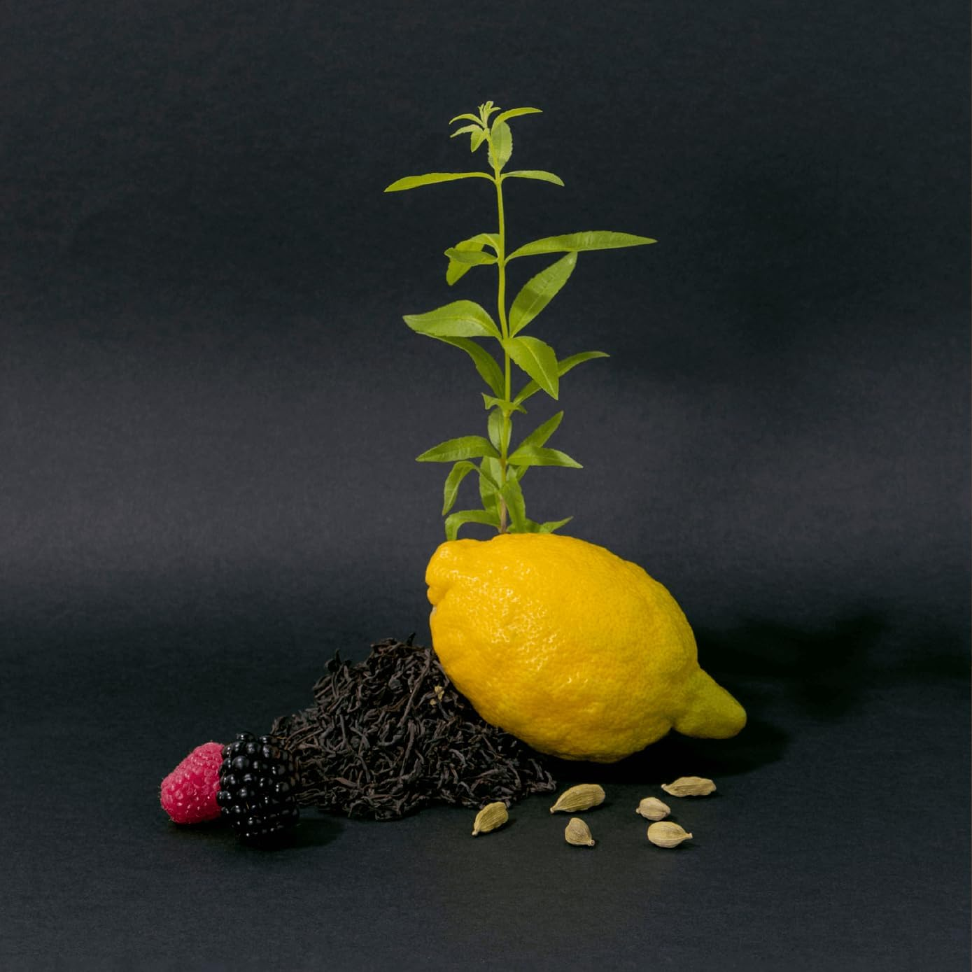 Compagnie De Provence Black Tea Liquid Marseille Soap 300 Ml image number 5