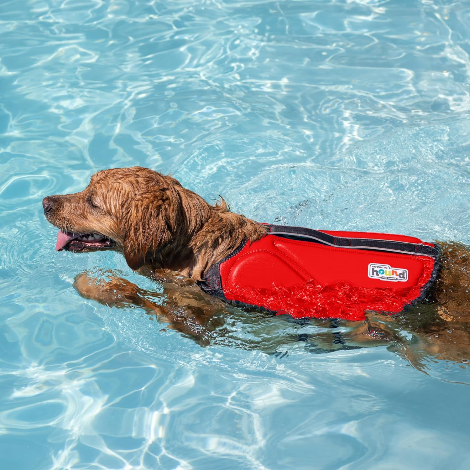 Outward Hound Dawson Swim Red Dog Life Jacket, XL