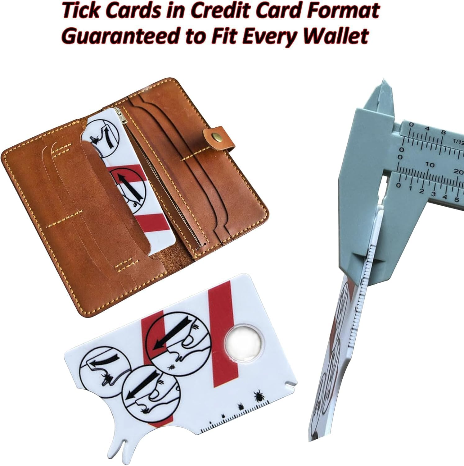 JCUQGDOO Tick Card for Human, Dog, Cat, Pack of 2 Tick Cards Children with Magnifying Glass, Quick Cleaning of Ticks, Tick Card for People, Children, Dogs, Cats image number 5