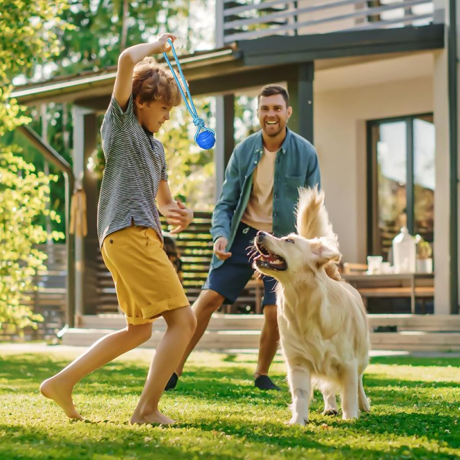 Vaileal 4 X Dog Balls, Dog Balls with Rope, High Bounce Ball Toy for Dogs, Natural Rubber Ball, Dog Toy, Small Solid Rubber Ball, Throwing Ball for Small & Medium & Large Dogs (Four Colours) image number 2