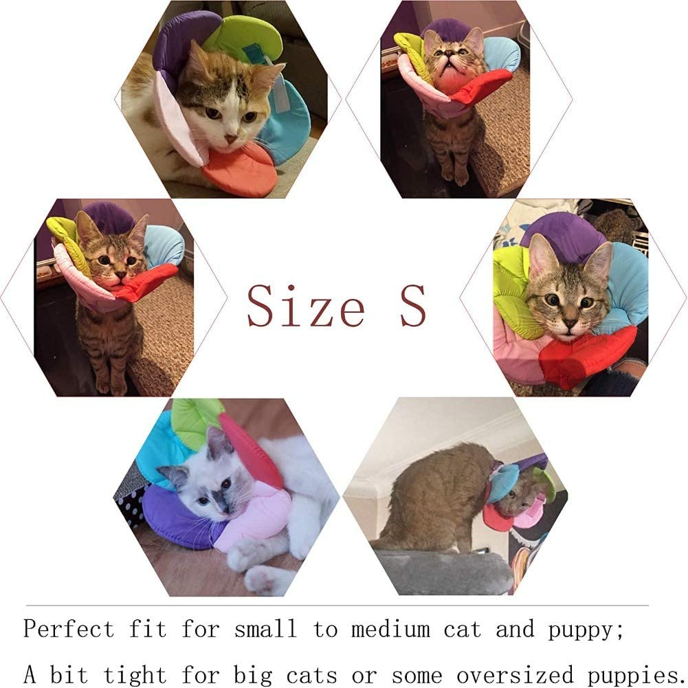 Hotumn Pet E-Collar after Surgery Elizabethan Collars Breathable Recovery Dog Cone Dogs Training Cone Collar Soft Edge for Cats Small Dogs Easy to Clean (Small, Multicolour) image number 4