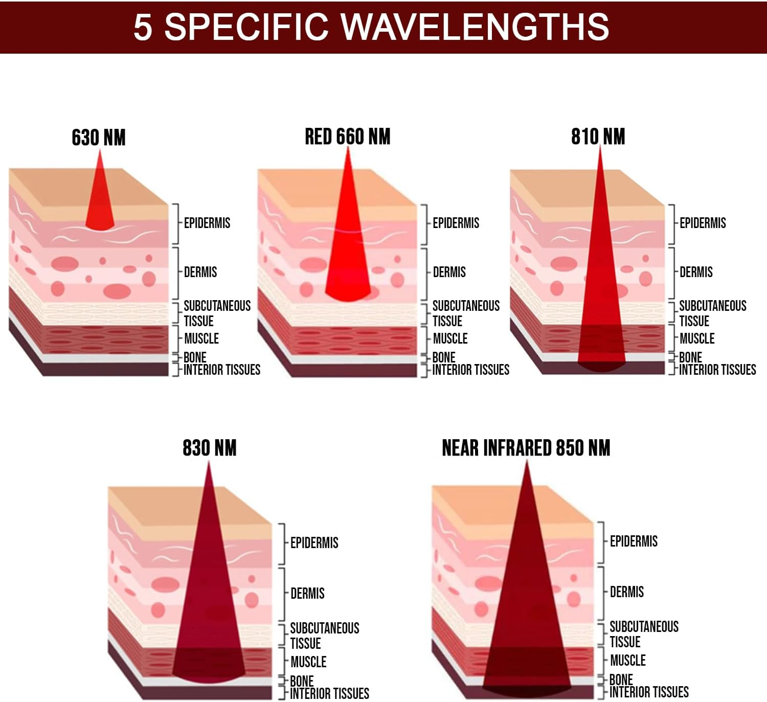 Red Light Device with Base, 630/660/810/830/850Nm 5 Wavelengths Red Light Panel with 60 Leds of 5W and Timer, Built-In Fan to Help Cool Down, for Full Body Skin Muscle Sleeping image number 4