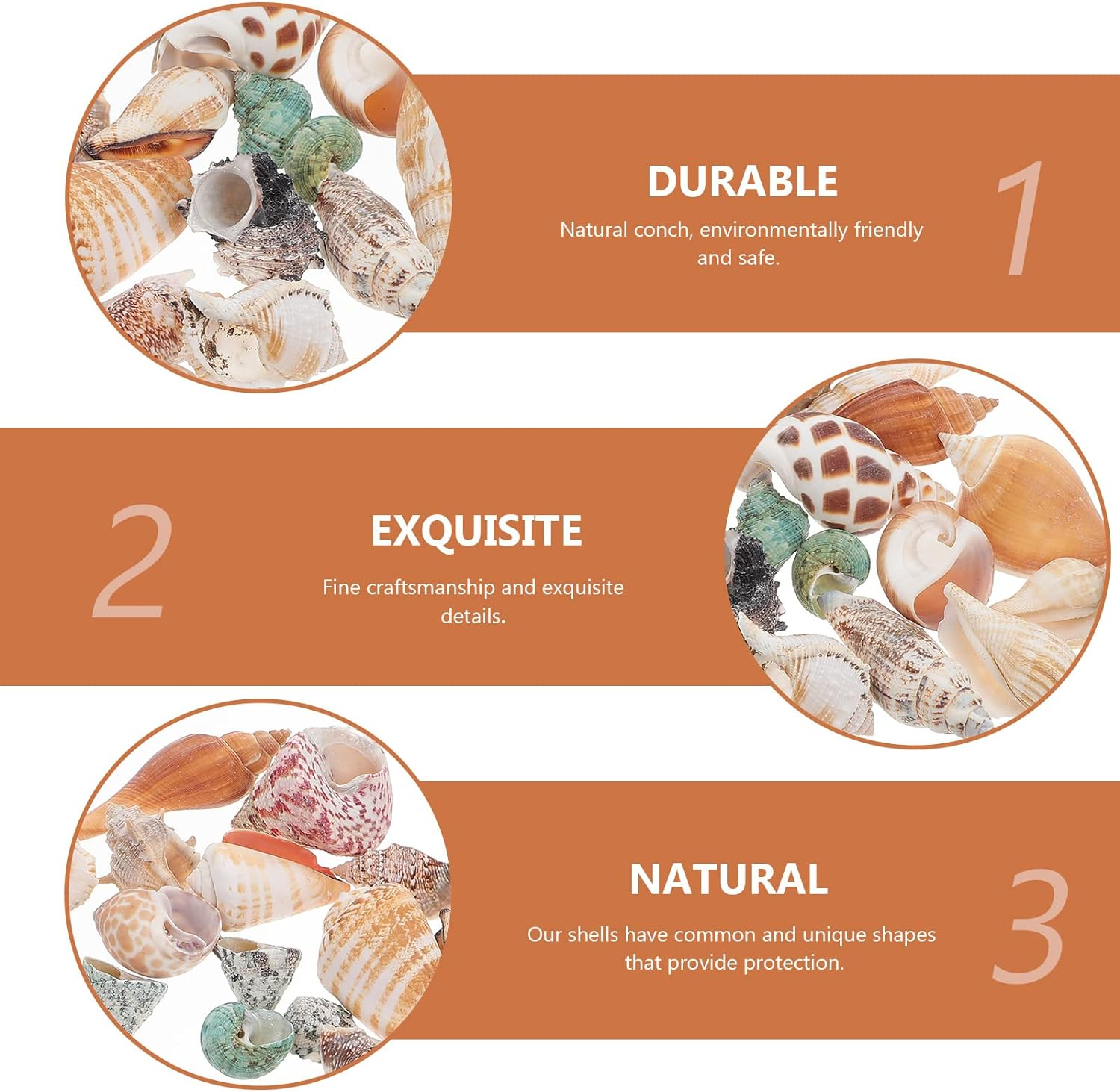 POPETPOP 1 Set Aquarium Conch Decor Hermit Crabs Shells Fish Tank Aquarium Adorns image number 5