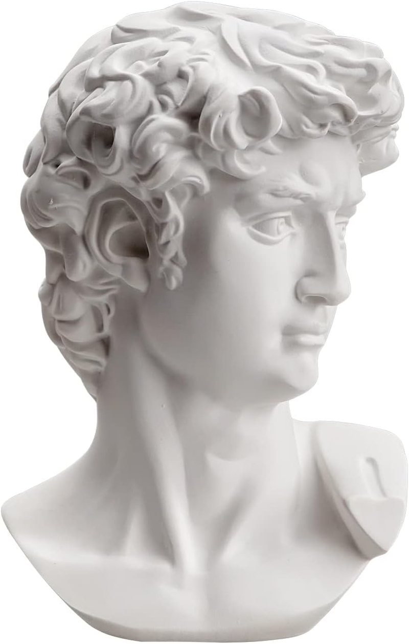 6 Inch Greek Michelangelo David Bust Statue image number 6