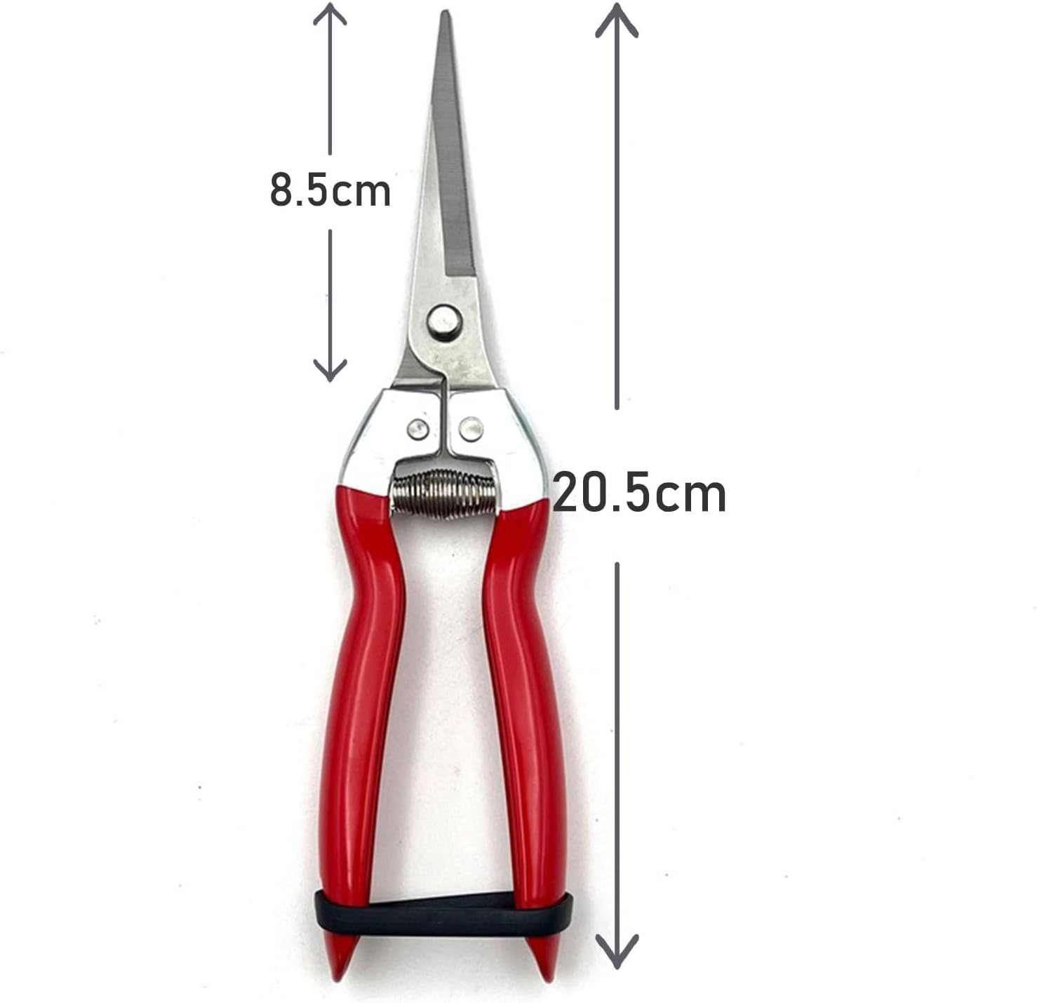 Straight Stainless Steel Pruner Pruning Shears Clippers Snips &ndash; Sharp Bonsai Cutter Plant Trimming Scissors &ndash; Straight Blade Garden Scissors Tool &ndash; Great for Roses Flowers Herbs Fruits image number 4