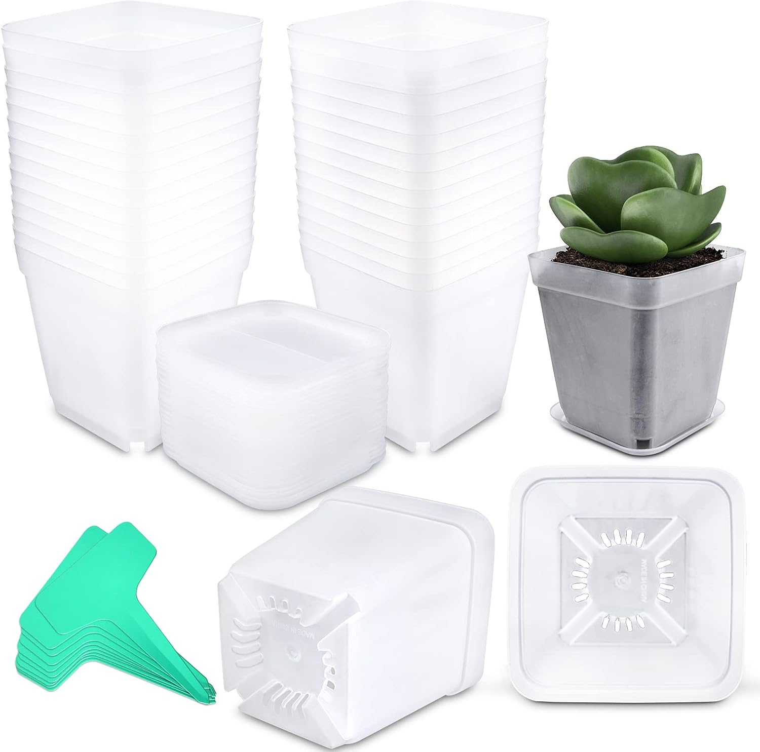 Square Nursery Pots Plastic 28 Pcs 3 Inches with Saucers and Plant Labels Reusable Seedling Pots Frosted Starter Plant Pots Mini Planter for Indoor/Outdoor image number 6