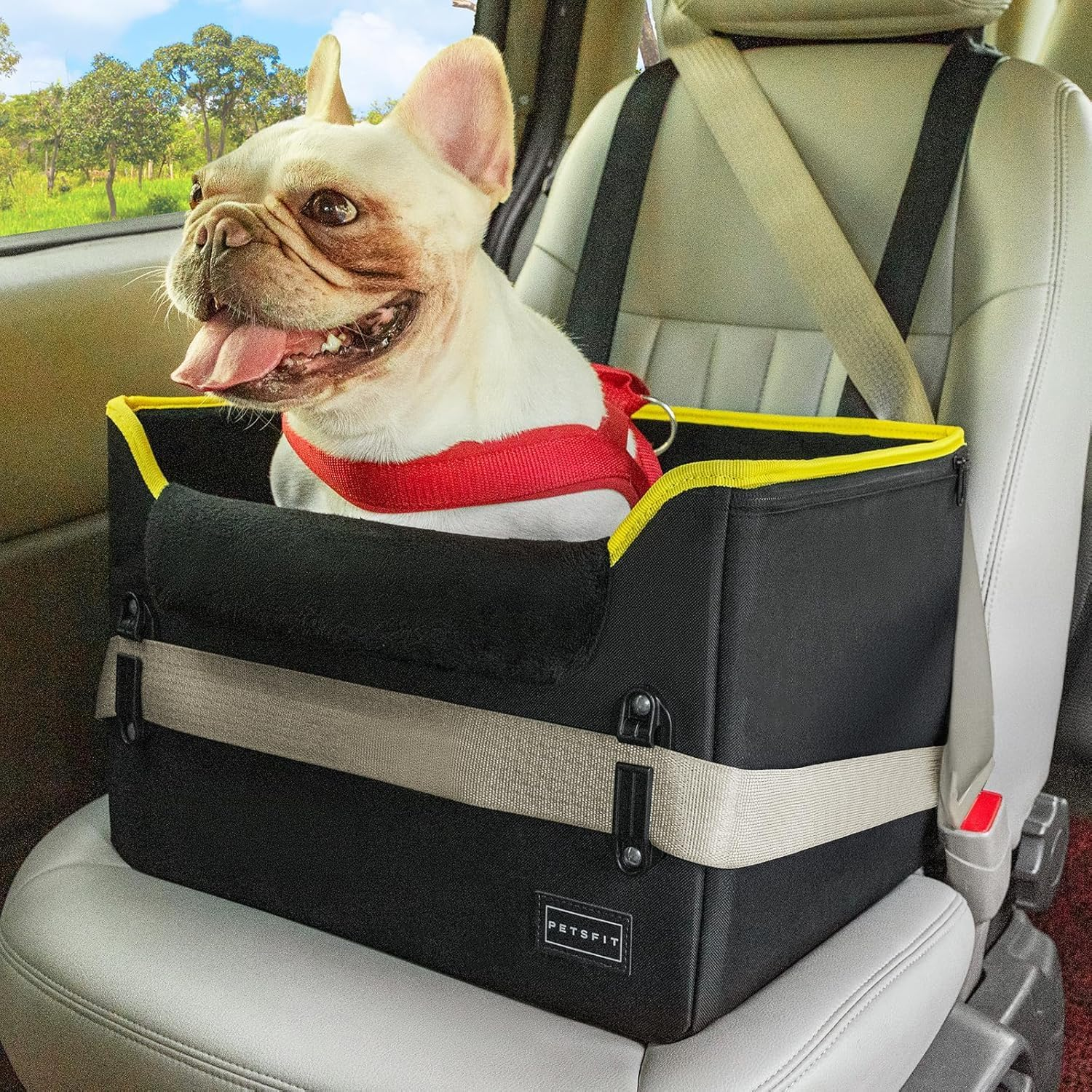 Petsfit Dog Car Seat for Small Dogs, Stable & Secure Dog Seat Car Rear Seat with Seat Belt Retaining Clip, Dog Basket Car Isofix with Washable Plush Cushion for Dogs and Cats up to 5.4 Kg