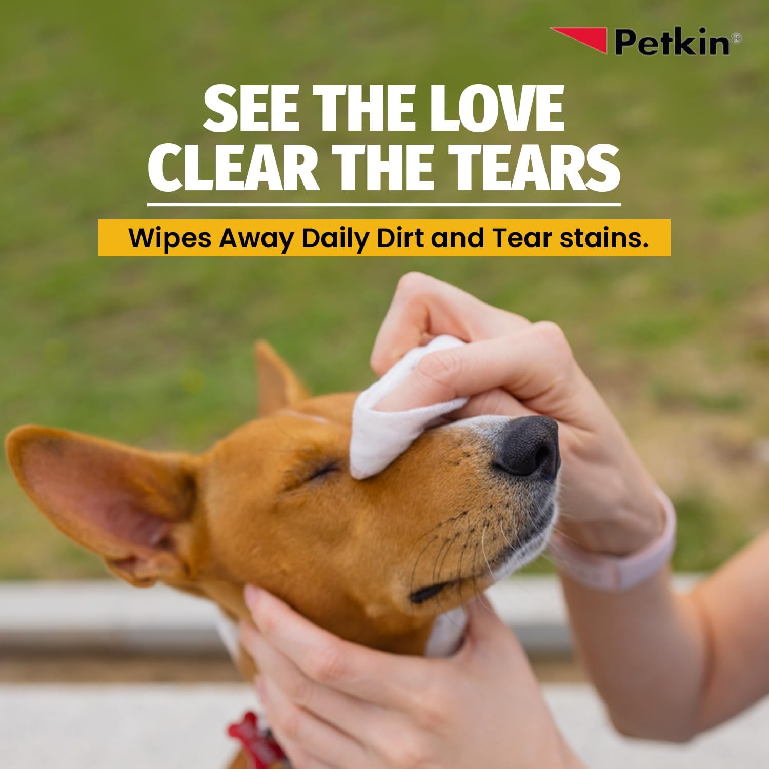Petkin FBA_537862 Eye Wipes, 80 Pack image number 2