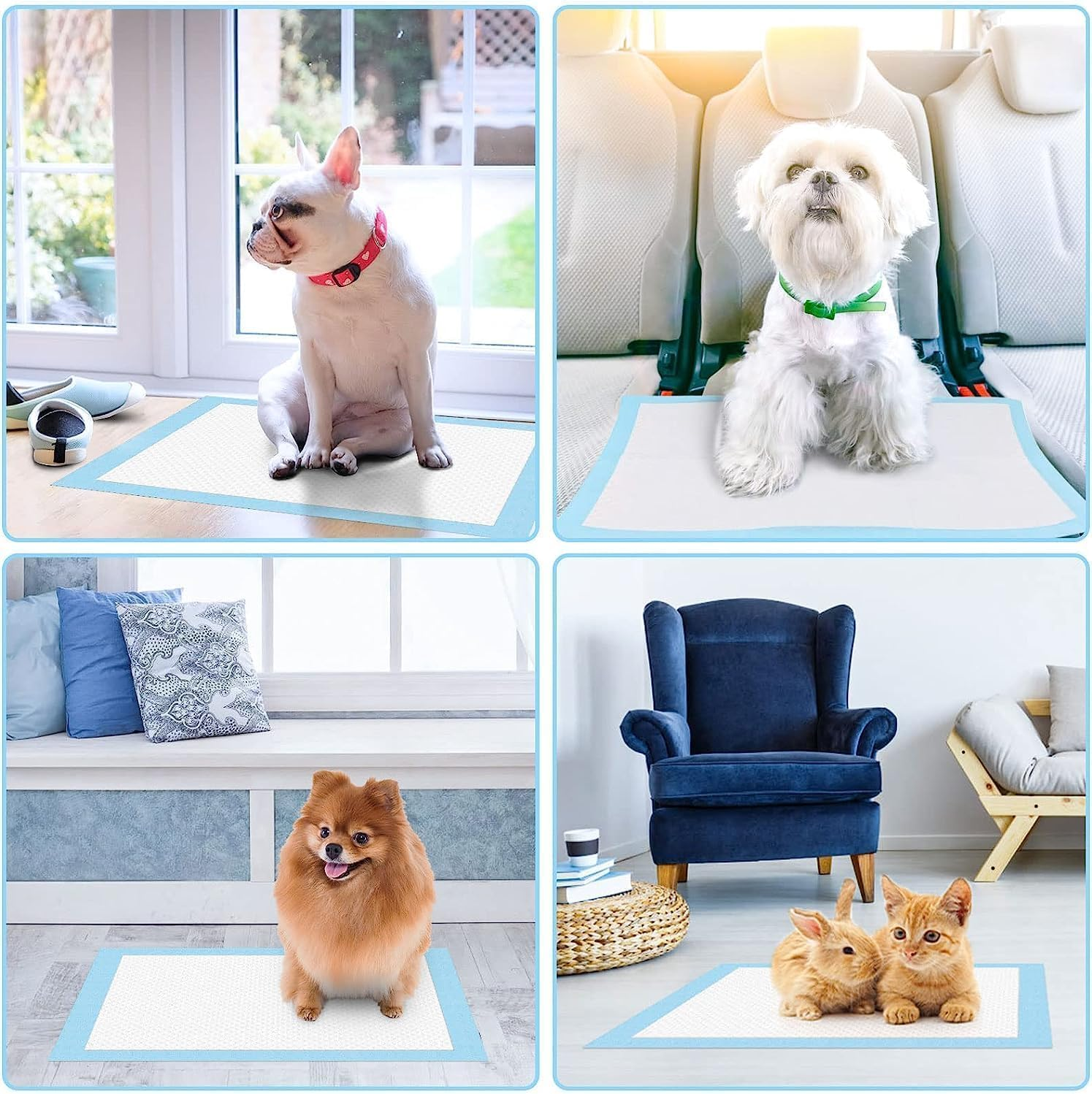 Mumoo Bear 100 Pack-45X33Cm Pet Training Pads 100Pcs, Disposable Dog Pee Pads, Leak-Proof and Super Absorbent, Fast Drying Pee Mats for Dogs,Puppies, Cats, Rabbits, Blue image number 2