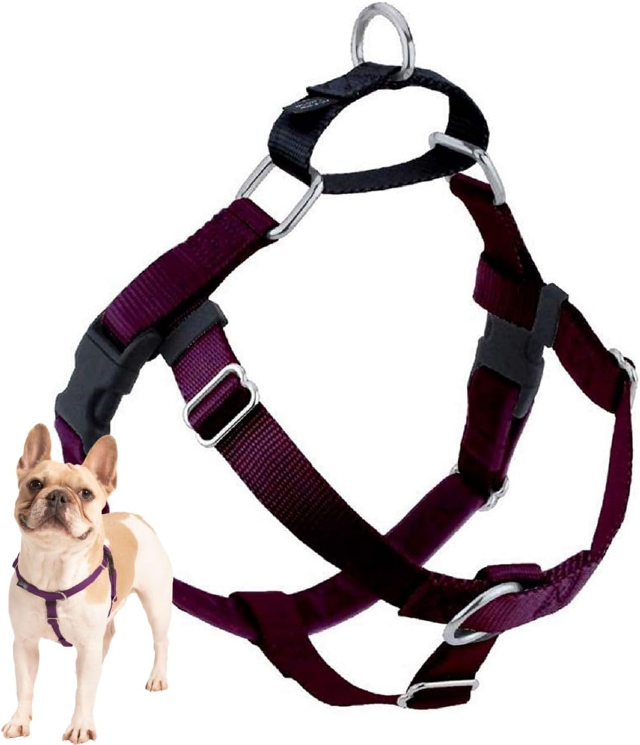 2 Hounds Design Freedom No Pull Dog Harness, Adjustable Harness, Easy Walking & Comfortable Control, Fits Small, Medium & Large Dogs, Solid Colors, Made in USA, 1" XL, Royal Blue