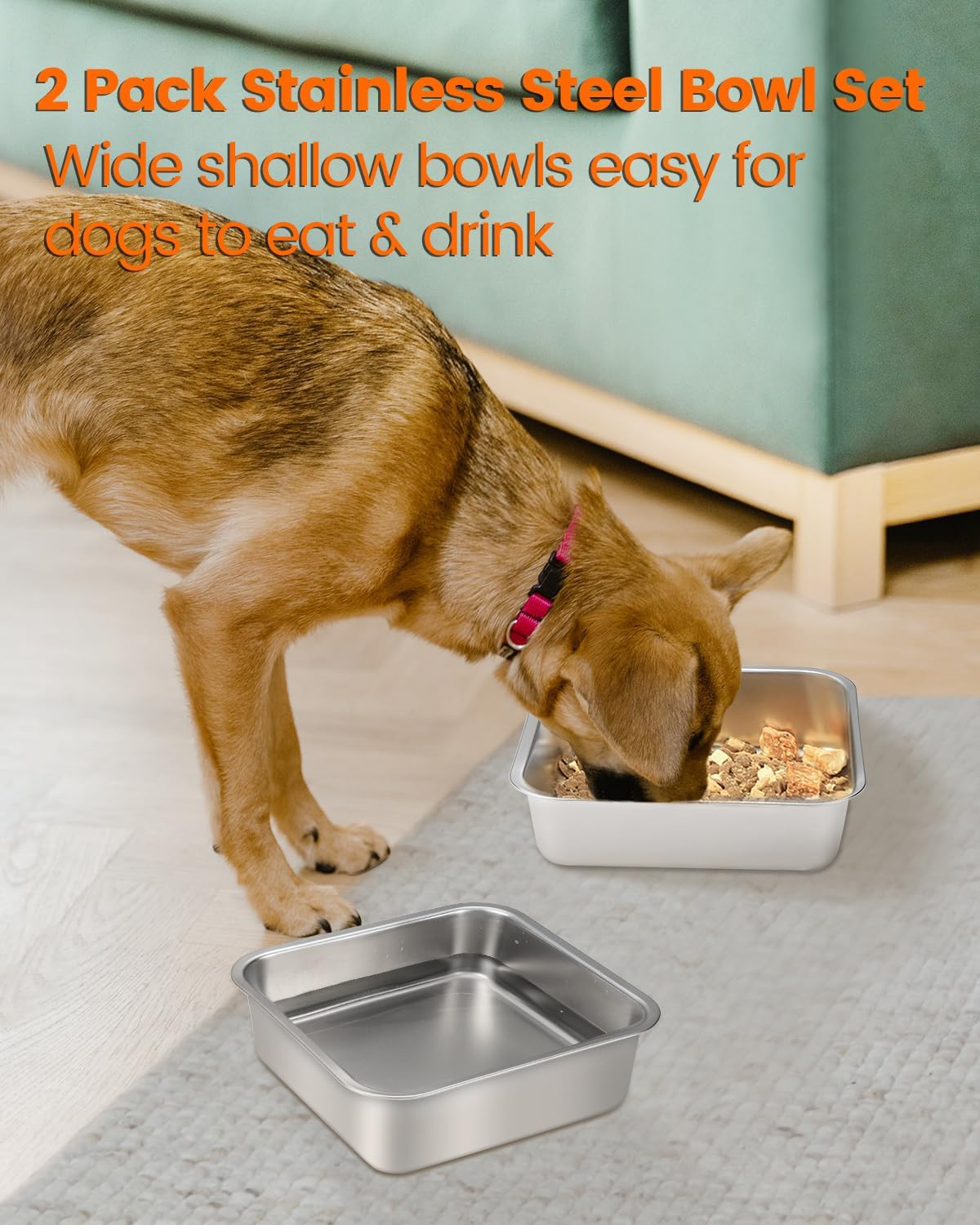 Dog Bowls Stainless Steel High Capacity Dog Food Bowls for Small Medium and Large Dogs (2 Pack 1.6L) image number 5