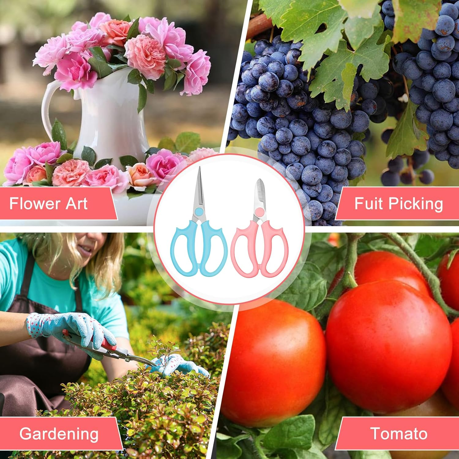 2-Pack Flower Scissors &ndash; Premium Stainless Steel Floral Shears, Heavy Duty Garden Pruners for Flowers, Branches, Leaves, Rose Gardening (Pink, Blue)​