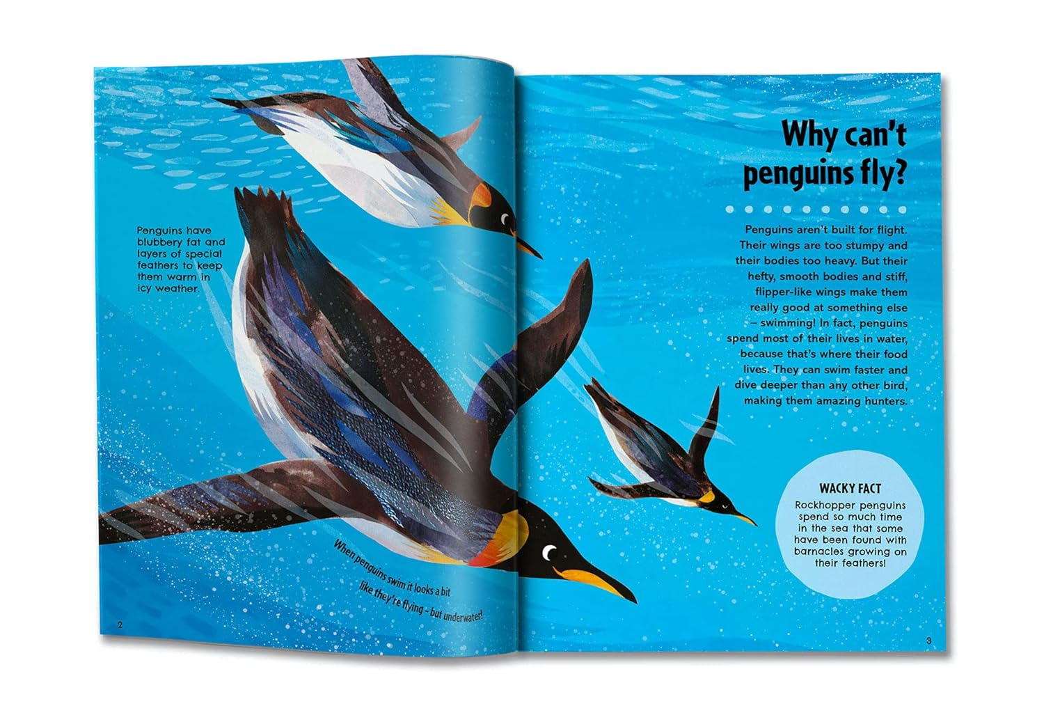 Britannica First Big Book of Why: Why Can'T Penguins Fly? Why Do We Brush Our Teeth? Why Does Popcorn Pop? the Ultimate Book of Answers for Kids Who Need to Know WHY! image number 5
