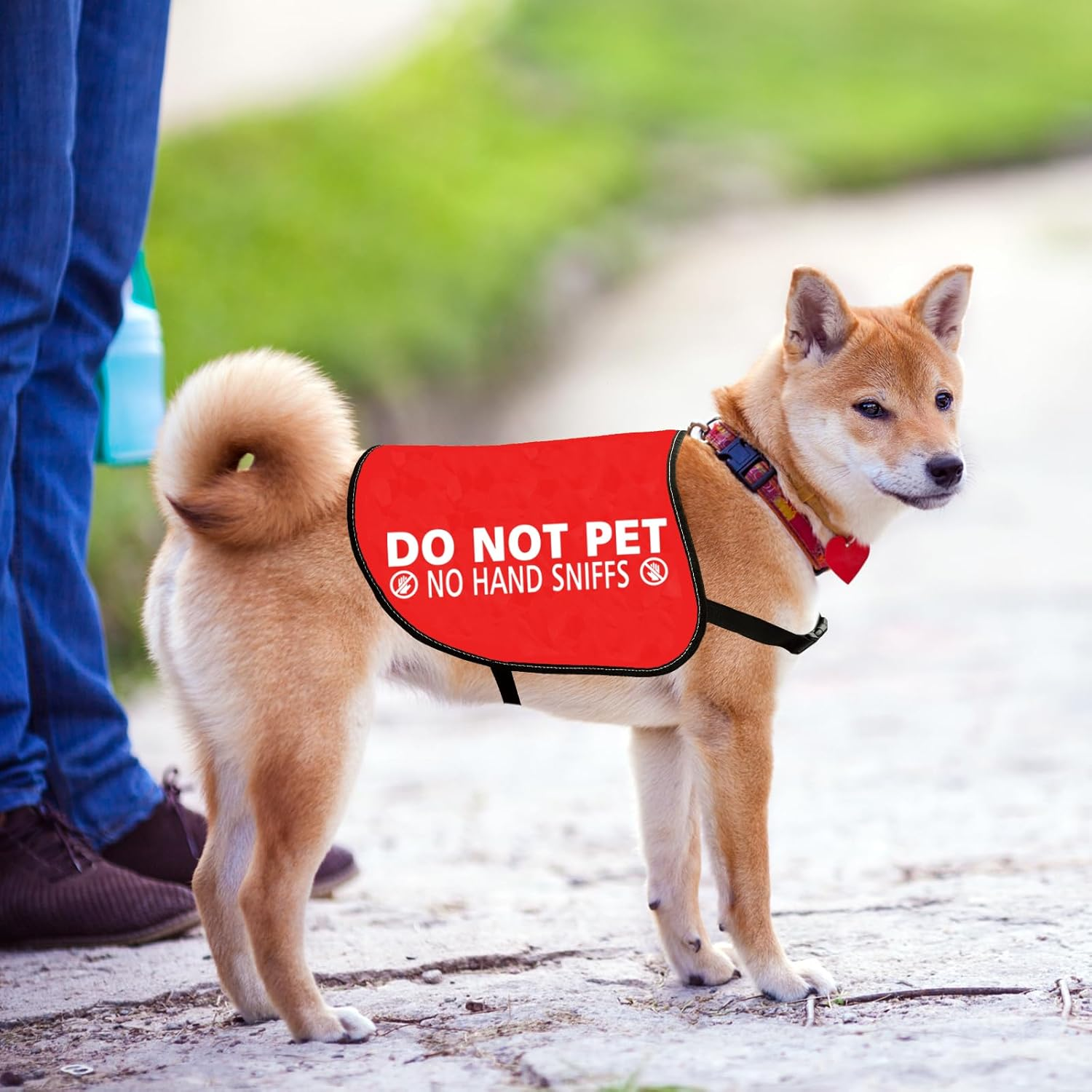 JXGZSO Nervous Anxious Dog Slogan Warning Vest Do Not Pet No Hand Sniffs Dog Jacket Vest (No Hand Sniffs L) image number 4