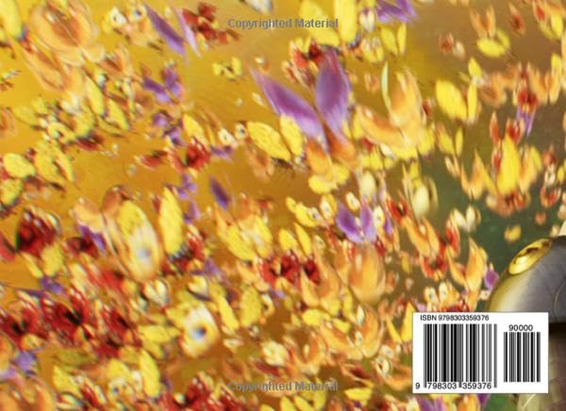 Befores & Afters - #25 - Animation Conversations