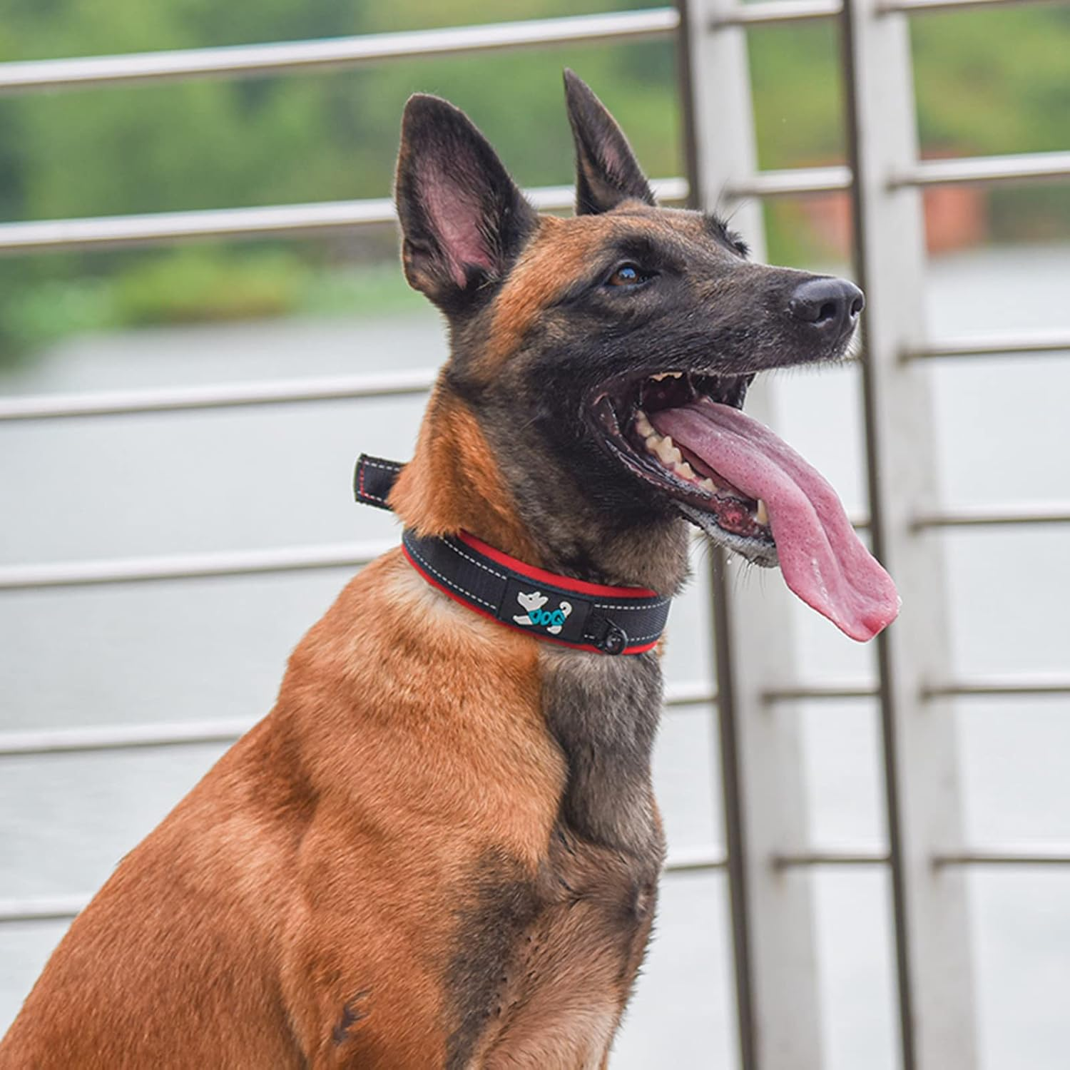 Haoyueer Comfortable Soft Neoprene Padded Dog Collar, Reflective Pet Collar, Adjustable Durable Nylon Dog Collar for All Breeds Large Dogs (S, Pink) image number 4